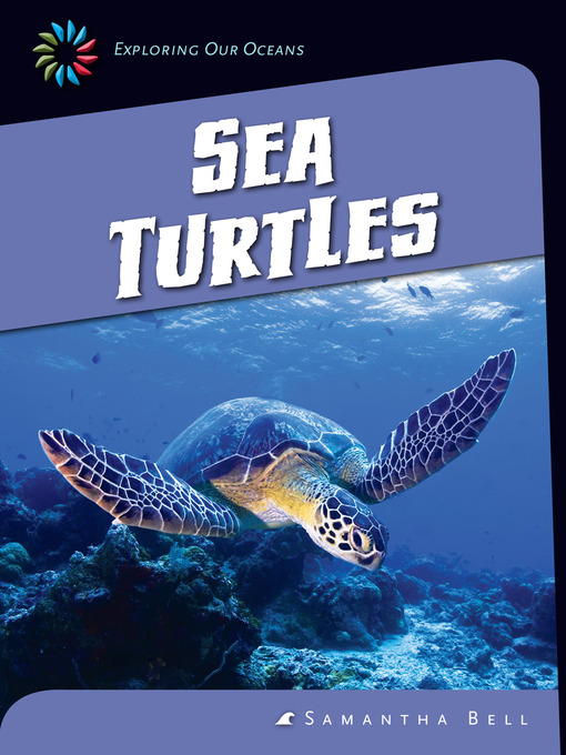 Title details for Sea Turtles by Samantha Bell - Available